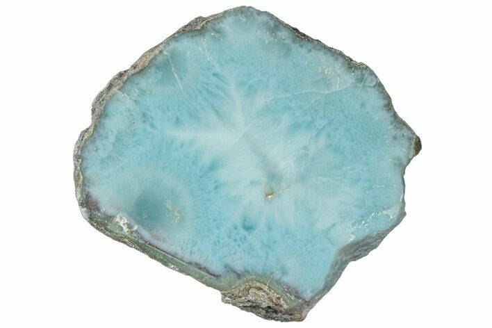 Slice Of Larimar Replaced Wood Limb Cast #316972